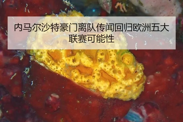 内马尔沙特豪门离队传闻回归欧洲五大联赛可能性